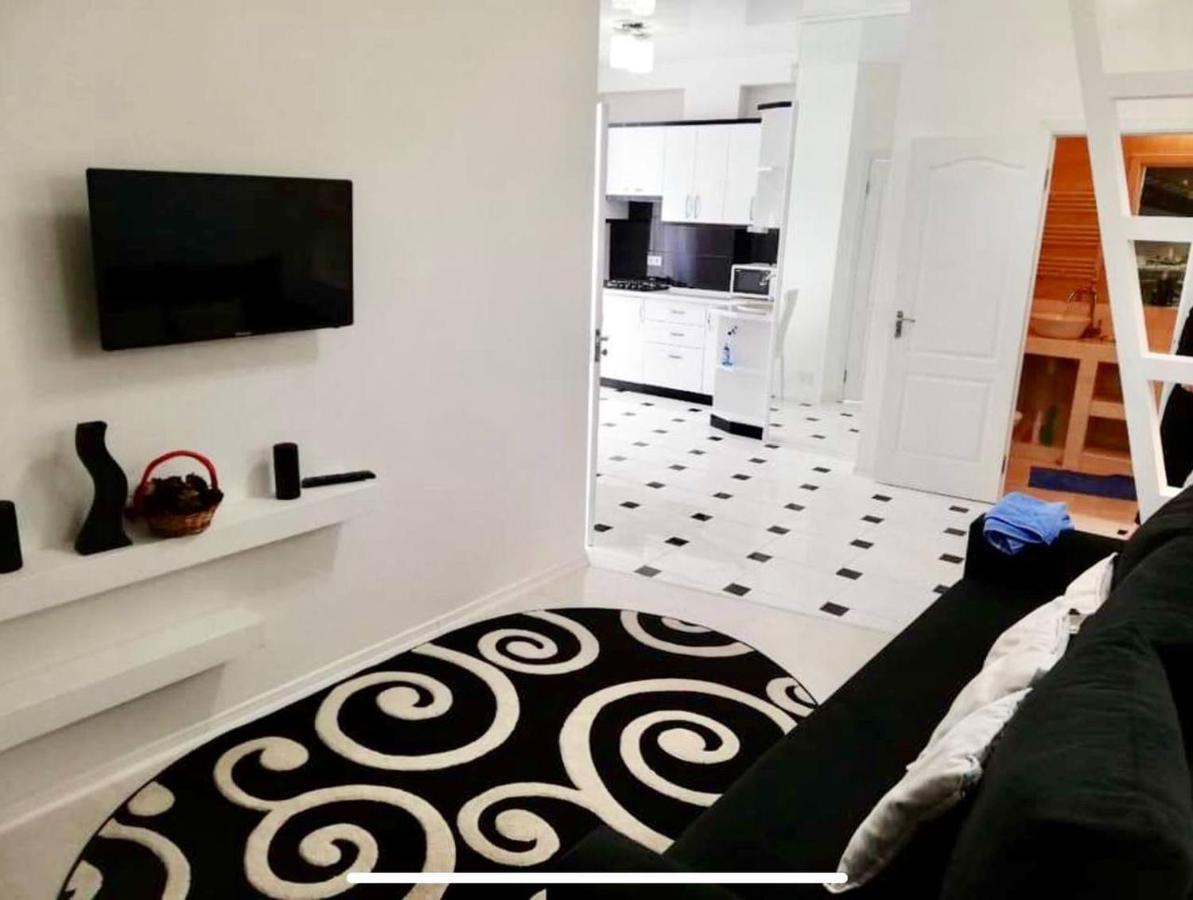 Bright Central Apartment キシナウ エクステリア 写真